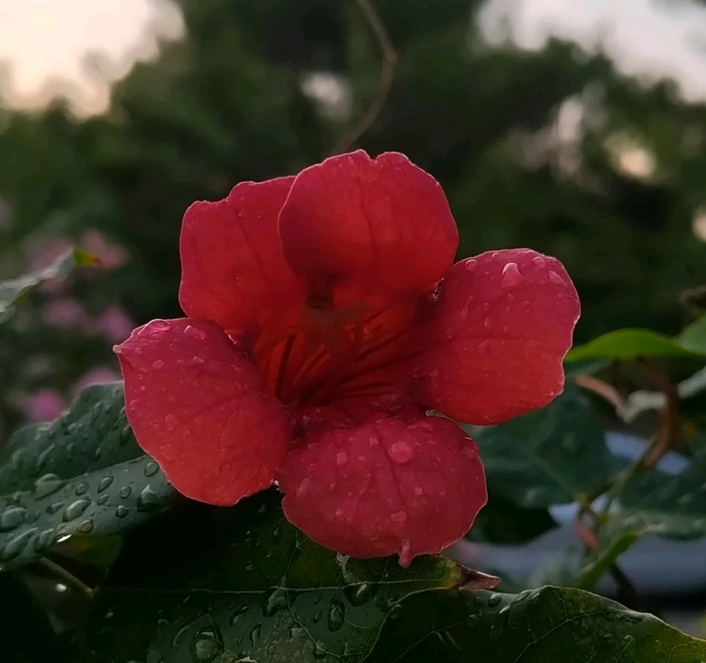 GIF uploaded by Samuel
