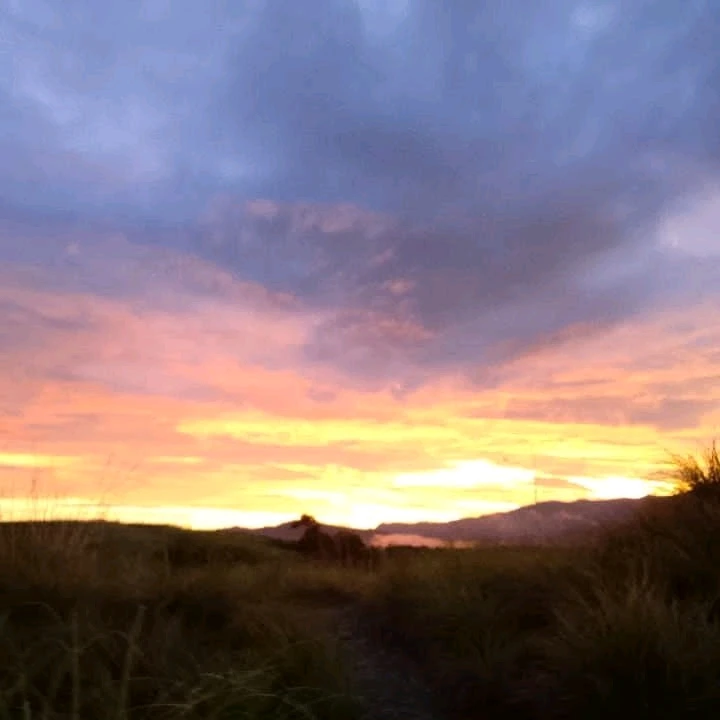 Image uploaded by Janete