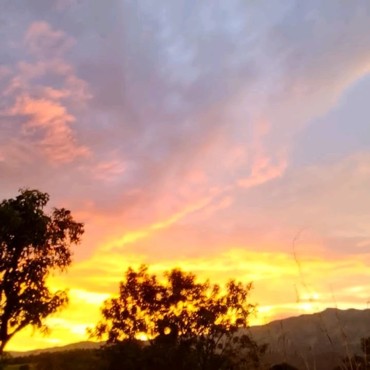 Sometimes, all we need is a quiet place, a beautiful sky, and a grateful heart to remember how wonderful life can be.
