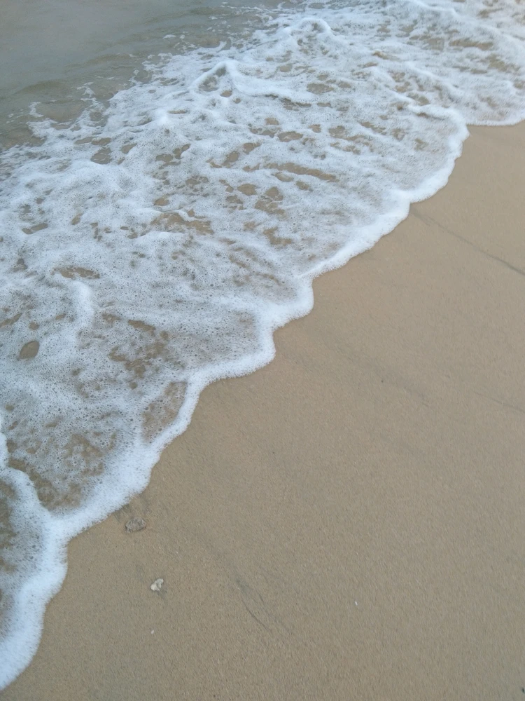 GIF uploaded by Cy