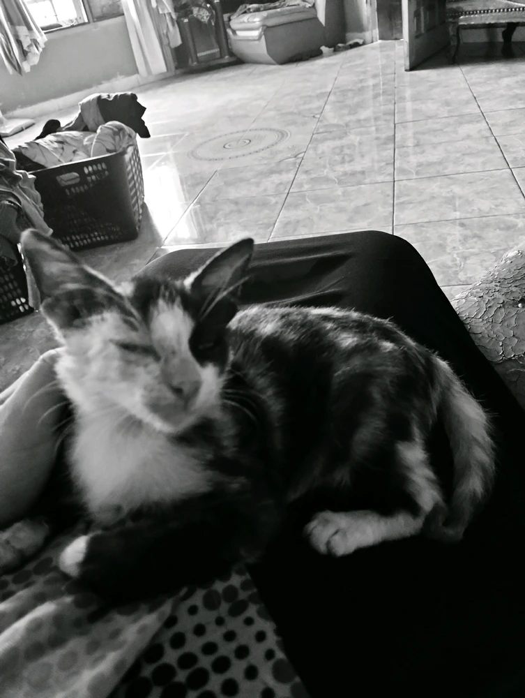 Image uploaded by Adelia