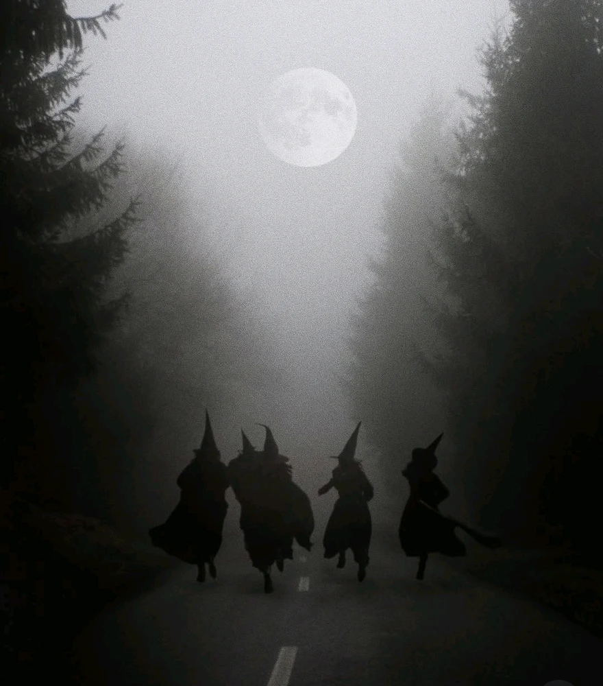 GIF uploaded by Osthexe