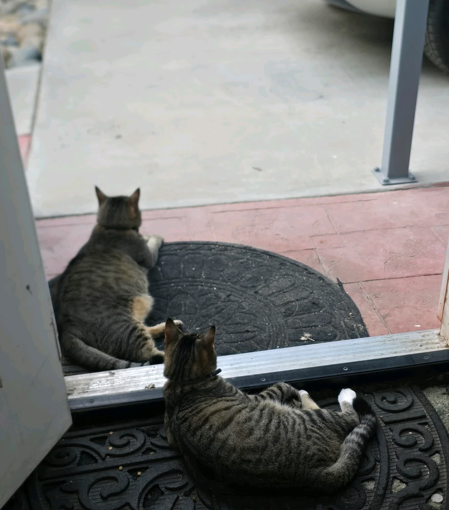 GIF uploaded by Brandon