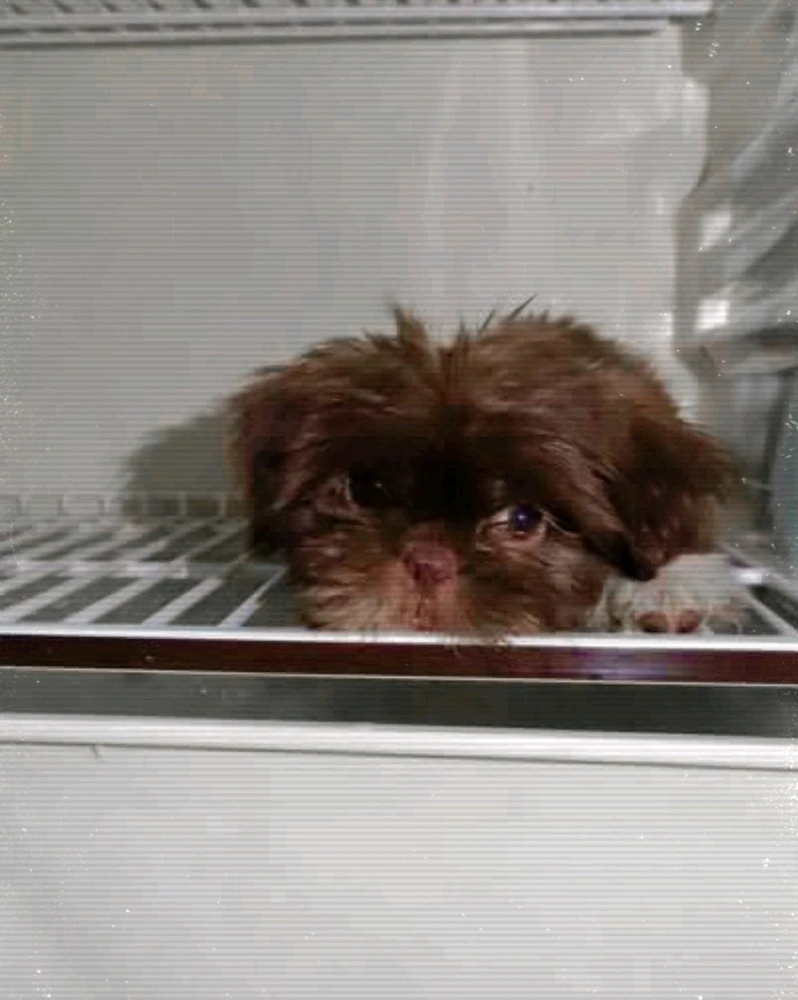 GIF uploaded by Mi mi