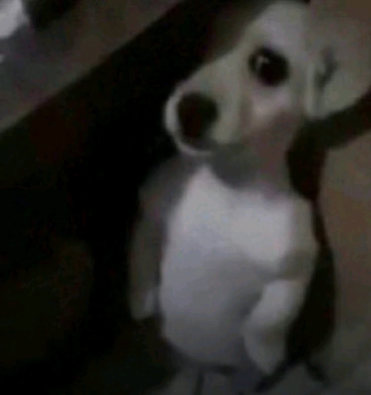 GIF uploaded by Jho