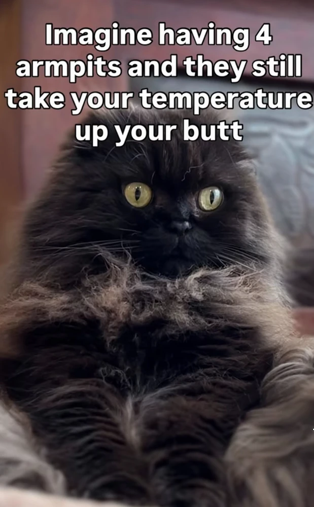 GIF uploaded by Melanie