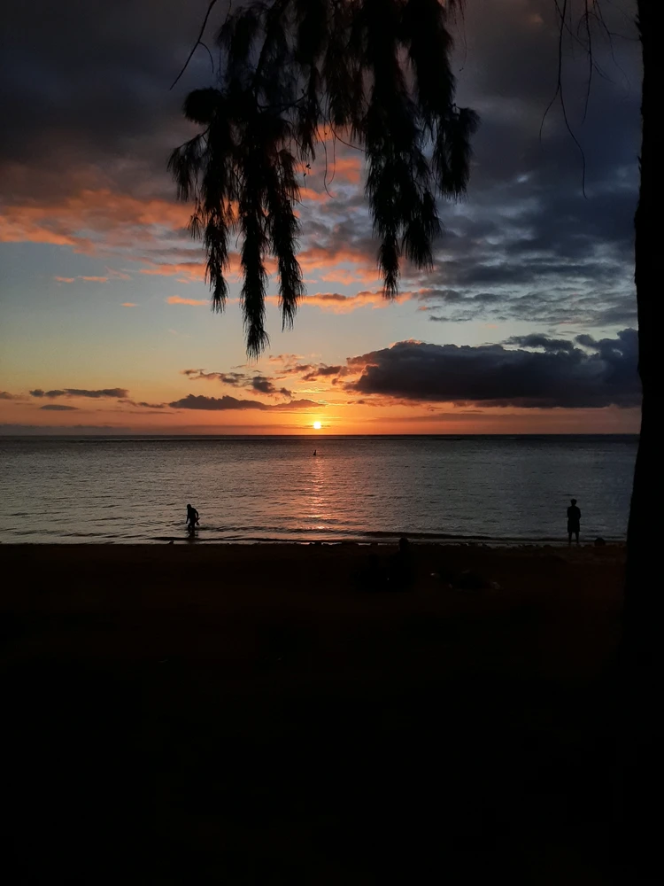 GIF uploaded by Kimana