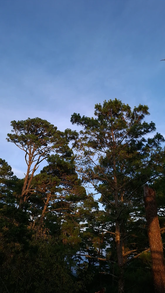 GIF uploaded by Emer
