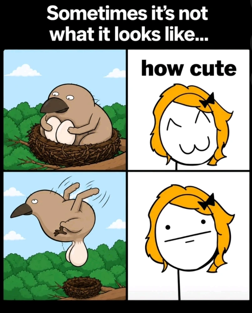 GIF uploaded by Elina