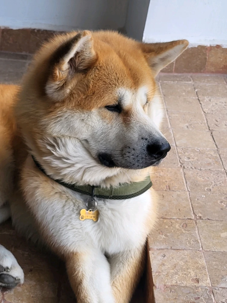 GIF uploaded by Bogdan