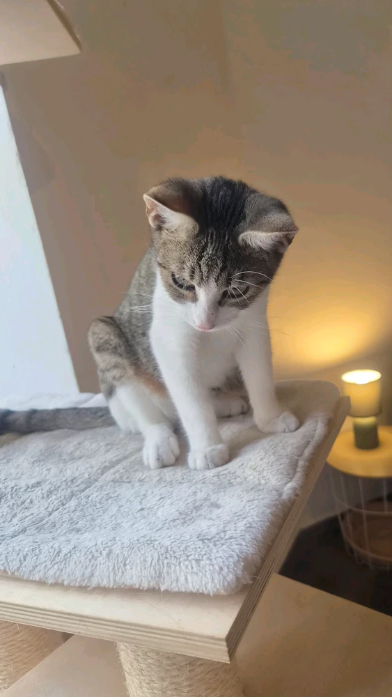 GIF uploaded by Lena