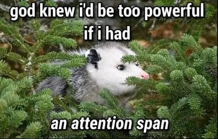 GIF uploaded by Sheila