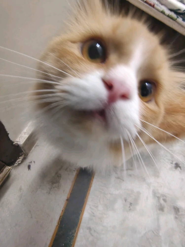 GIF uploaded by Bhumit