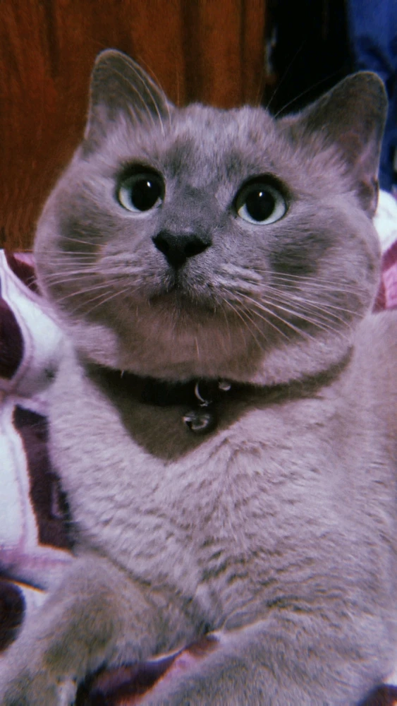 GIF uploaded by Deva