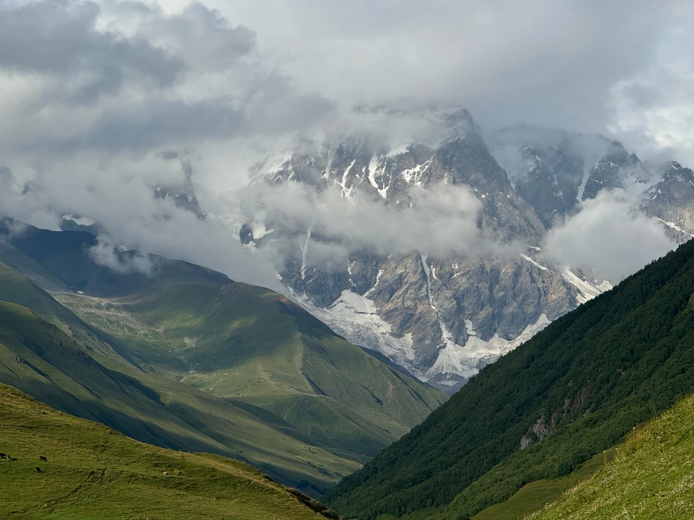 Image uploaded by Mohammed Faisal