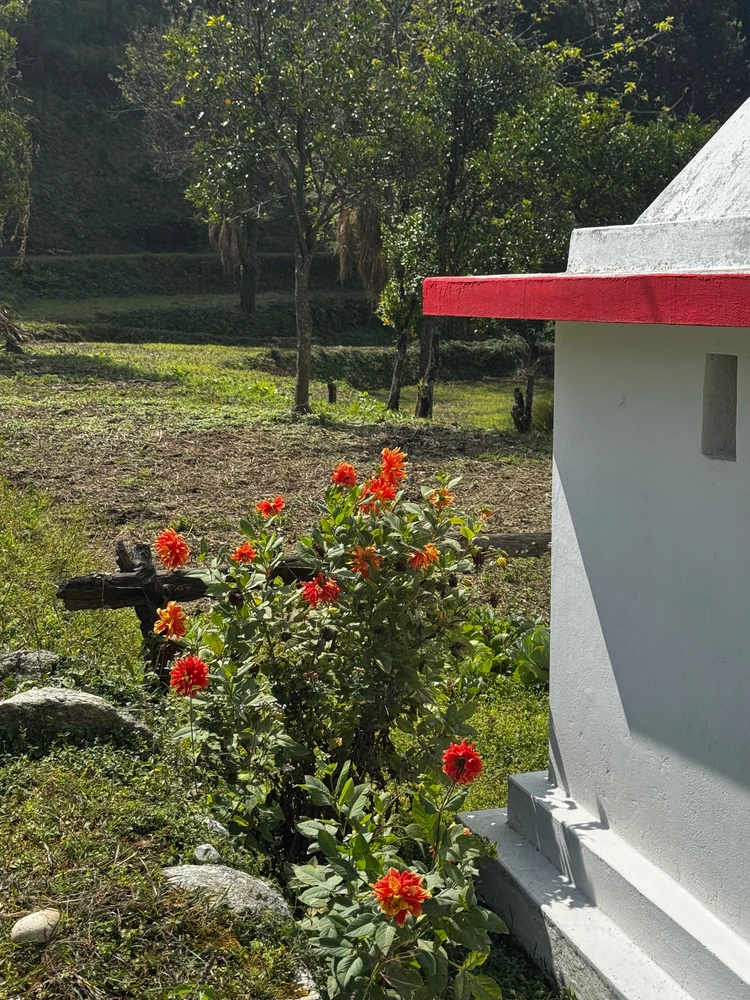 GIF uploaded by Aniket