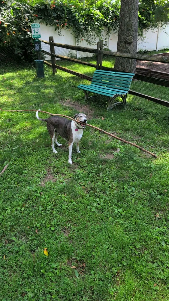 GIF uploaded by Colby