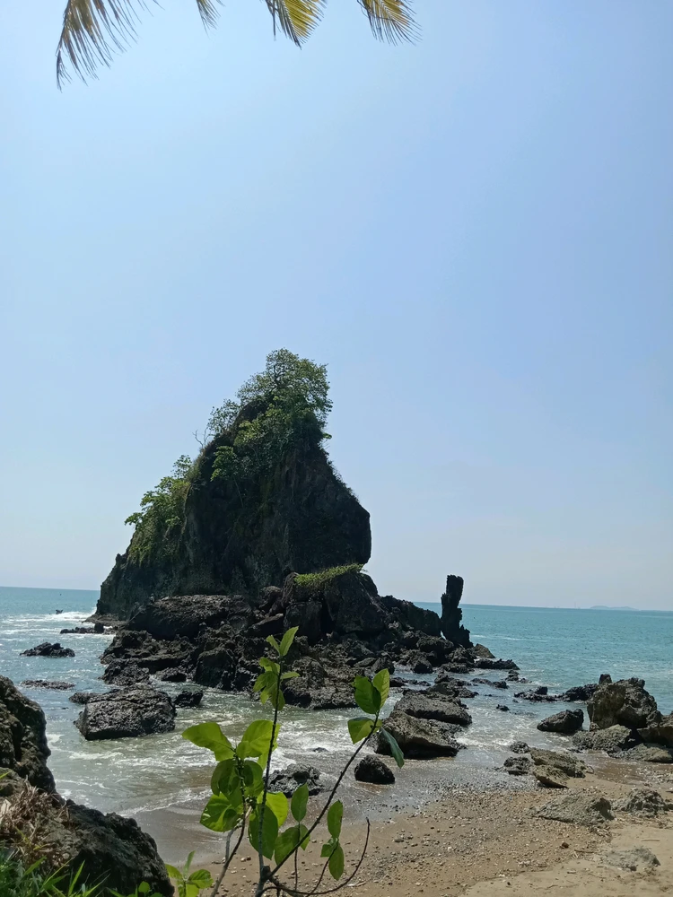 Image uploaded by Afi