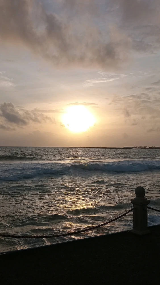 GIF uploaded by Zippy