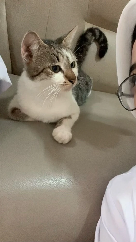 GIF uploaded by Layla Arissa