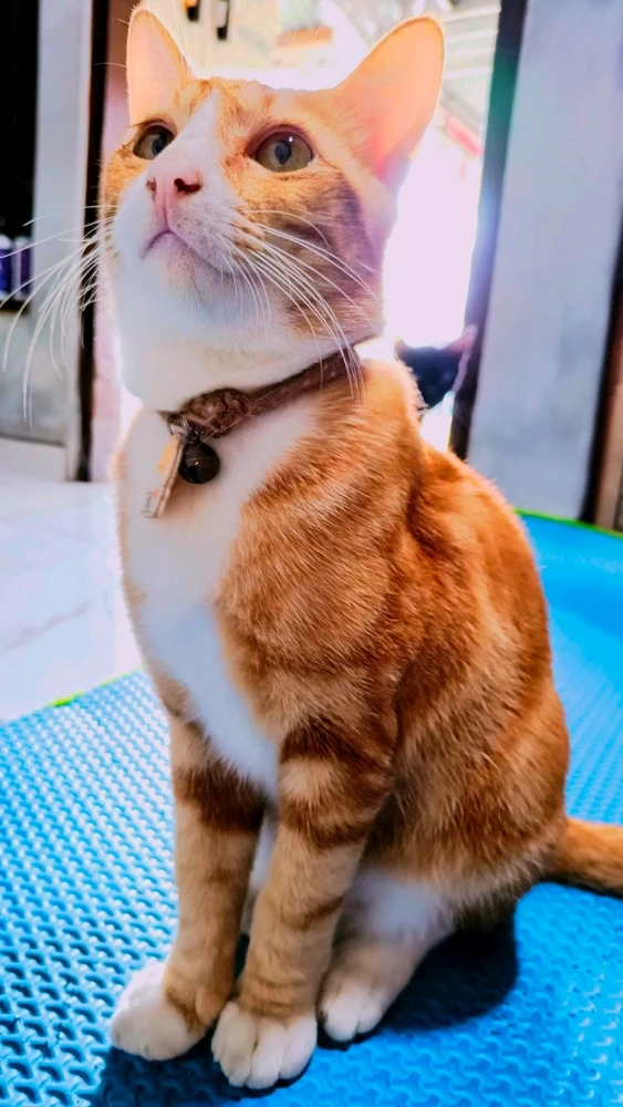 GIF uploaded by Bunny