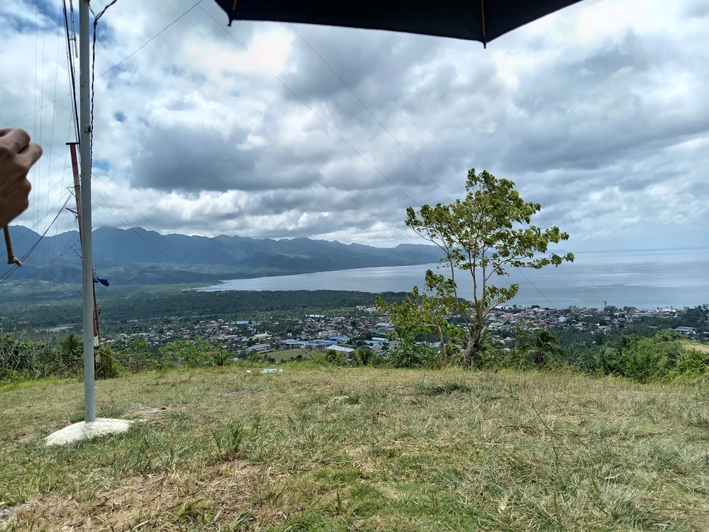 Image uploaded by Collaine
