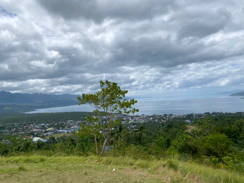 Image uploaded by Collaine