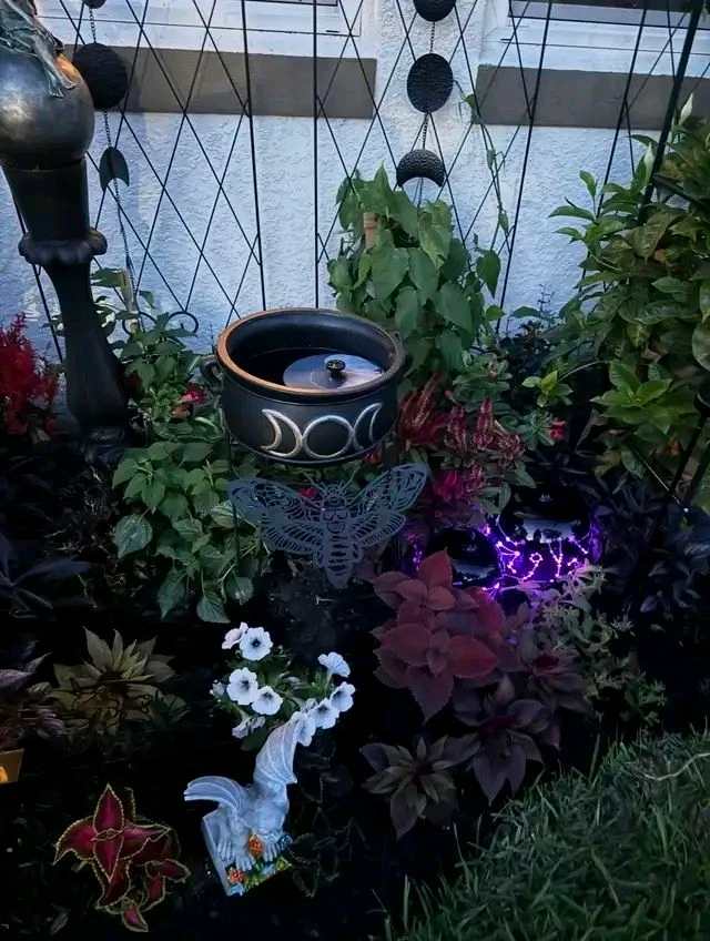 GIF uploaded by נєѕтєя