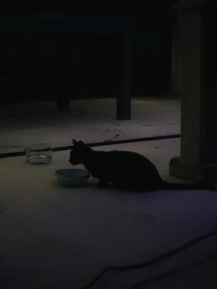 GIF uploaded by Brian