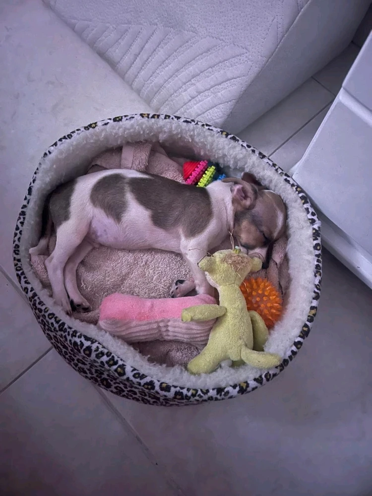 GIF uploaded by Juan