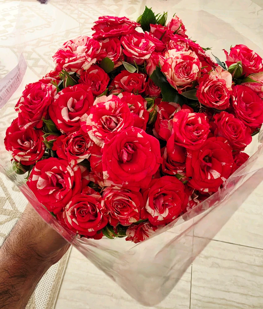GIF uploaded by A A AHMAD