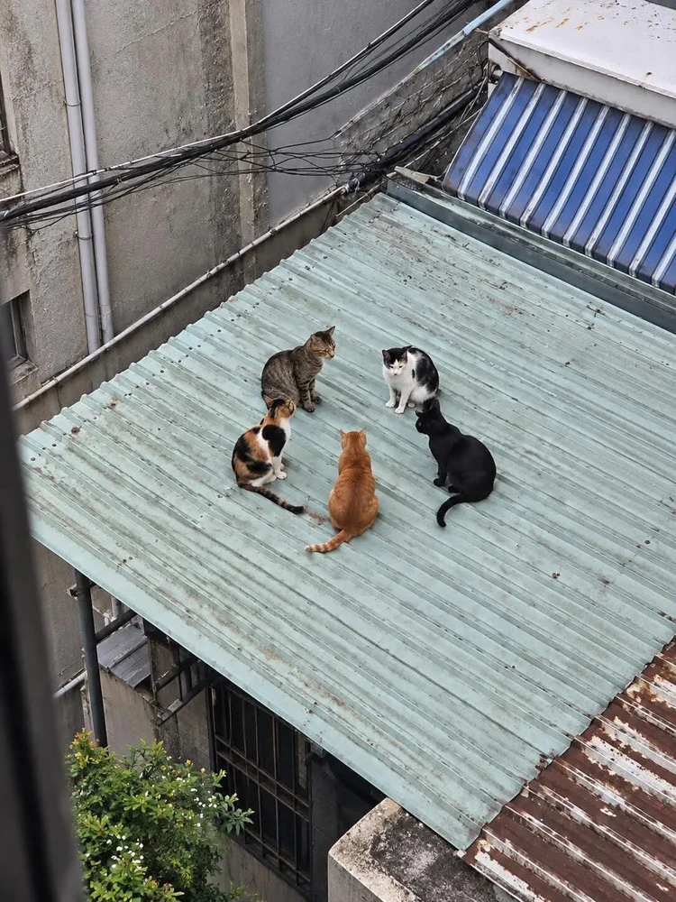 GIF uploaded by Jen