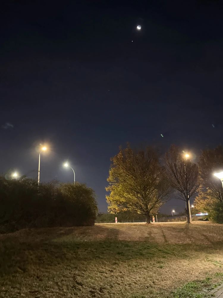 GIF uploaded by yann