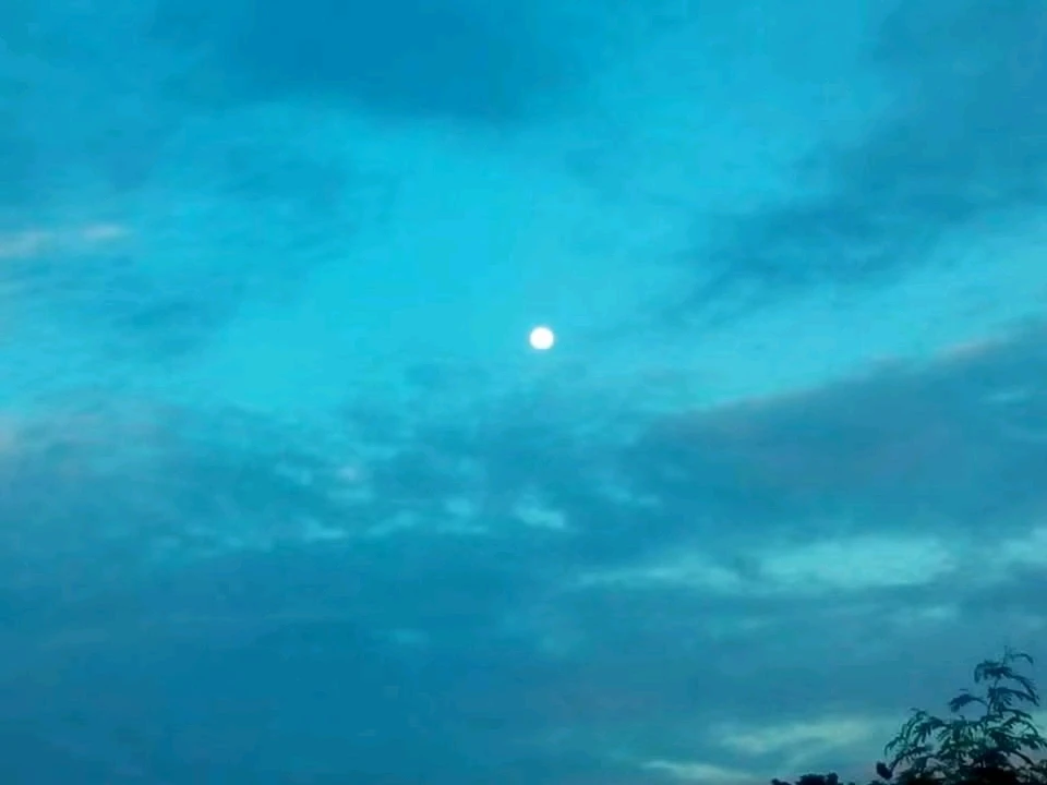 GIF uploaded by Kan Bunny(⁠ ⁠ꈍ⁠ᴗ⁠ꈍ⁠)カンイヤー