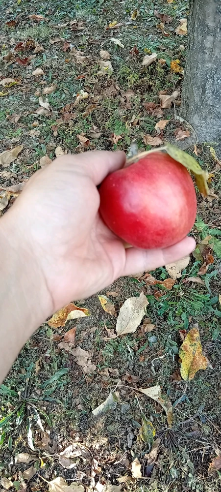 Image uploaded by Kas