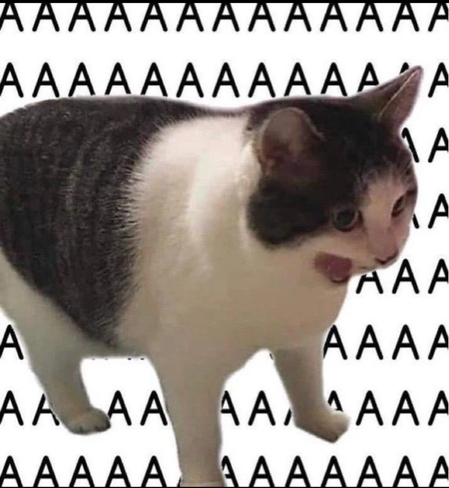 GIF uploaded by Jen