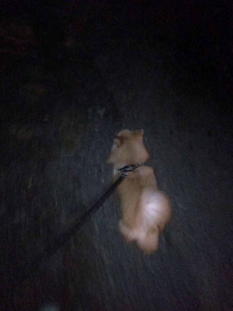 GIF uploaded by Jhea