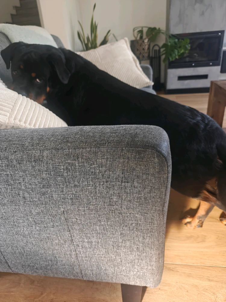 GIF uploaded by Alanxoxo