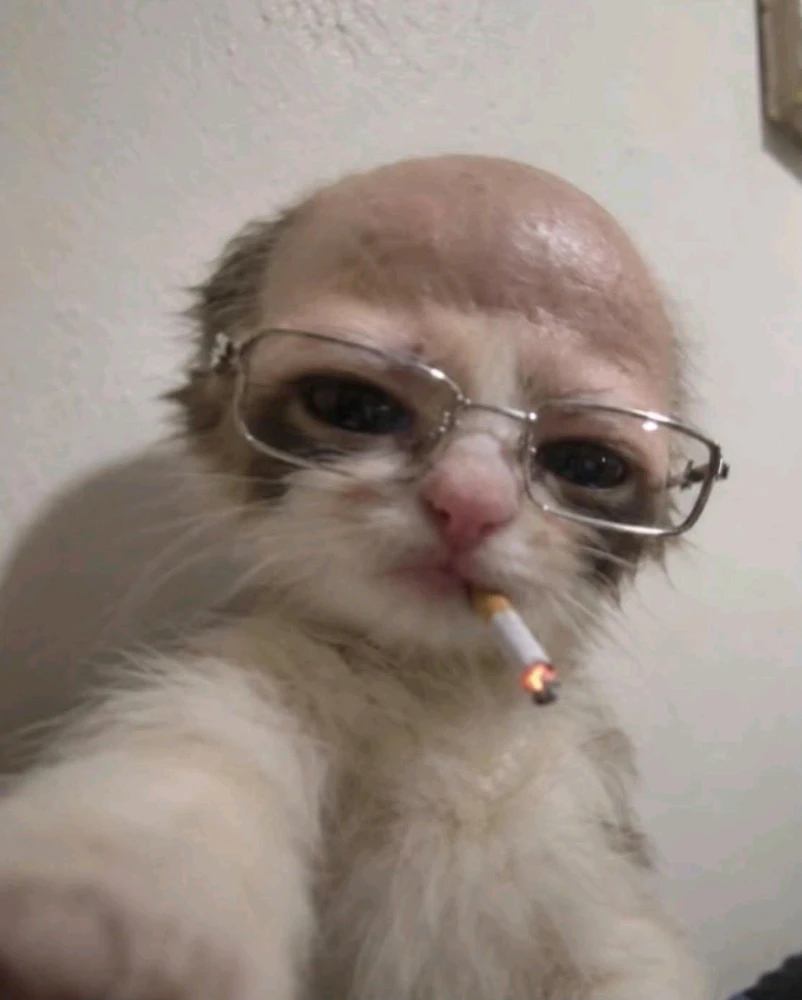 GIF uploaded by Owen