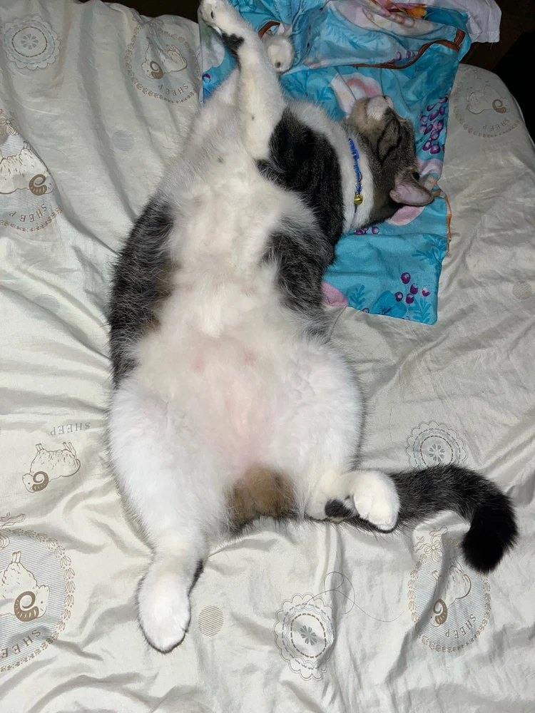 GIF uploaded by Mara