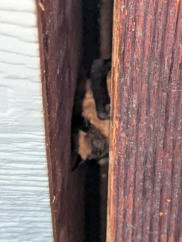 GIF uploaded by bradley