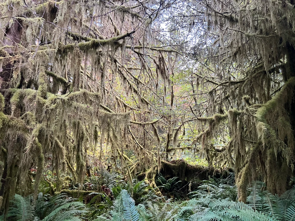 Image uploaded by Jarred