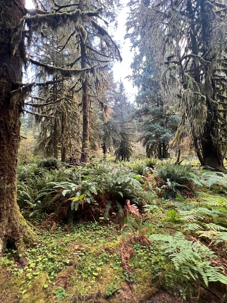 Image uploaded by Jarred