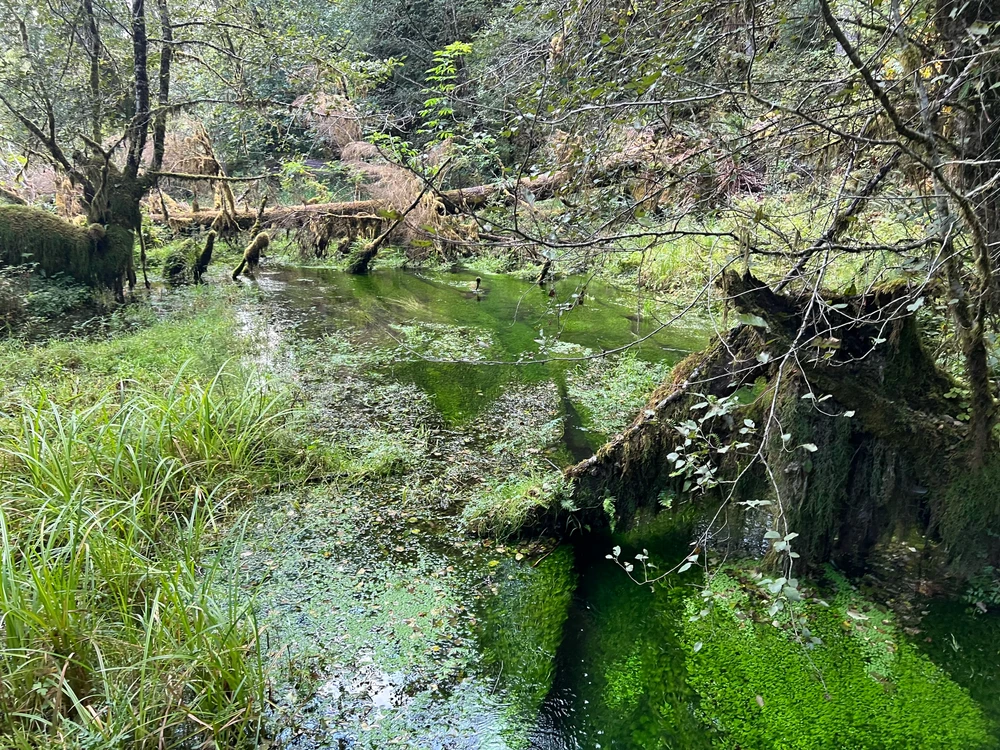 Image uploaded by Jarred