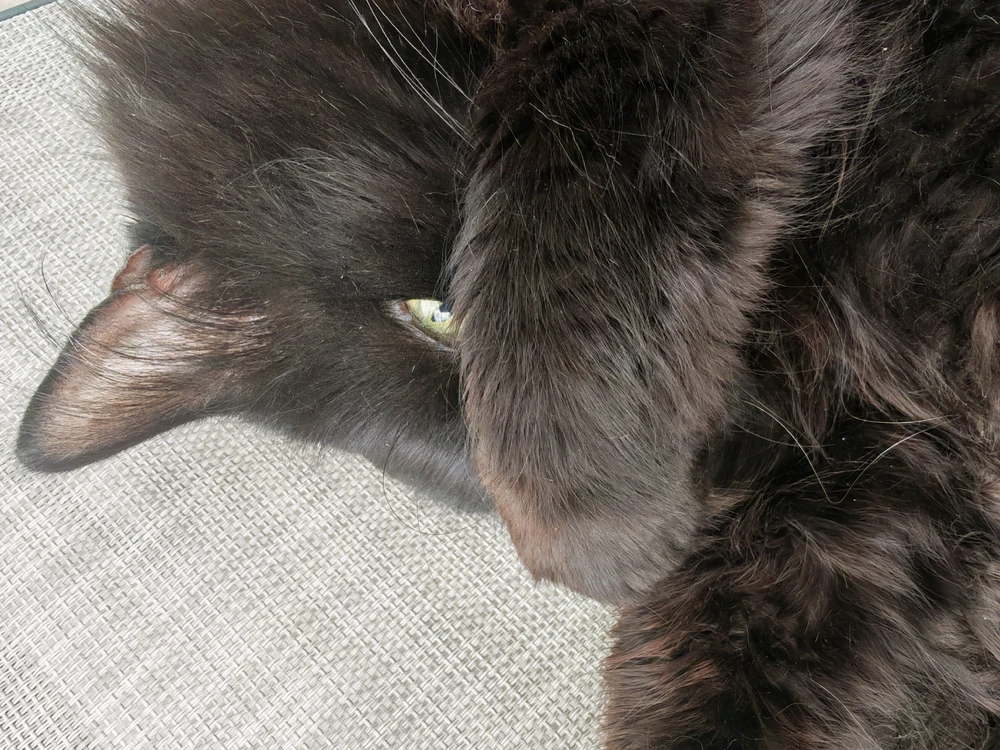 Shy baby