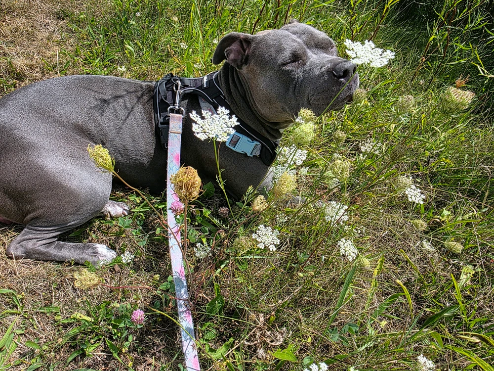 GIF uploaded by Jager