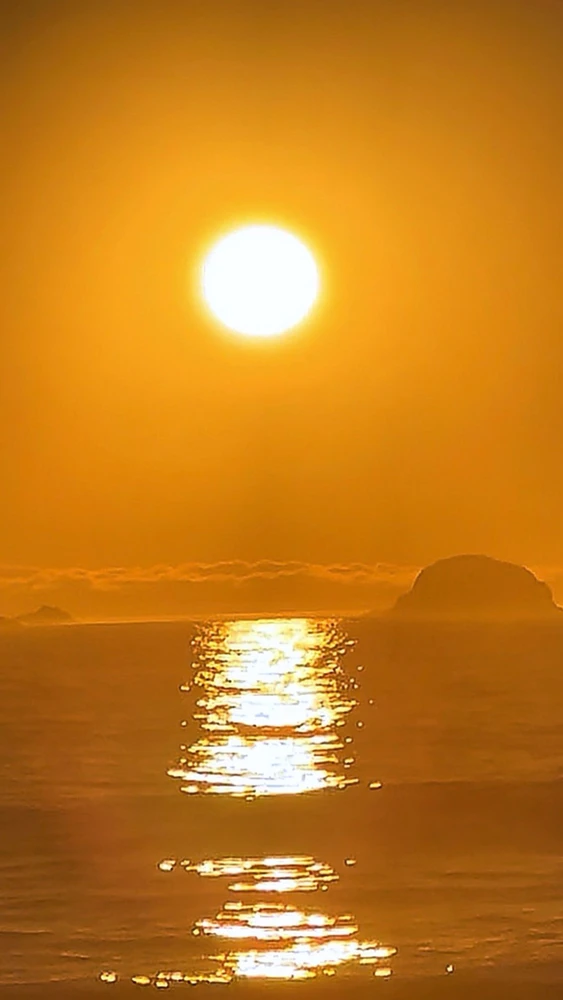 GIF uploaded by ✨M✨