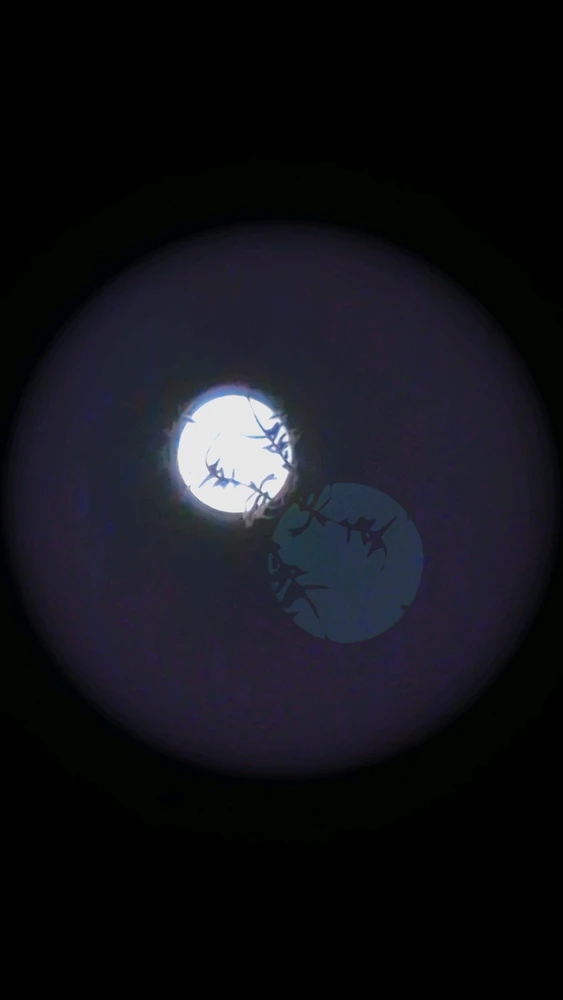 GIF uploaded by Nate