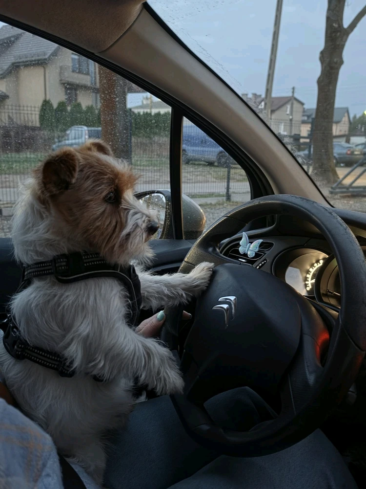 GIF uploaded by SunnM