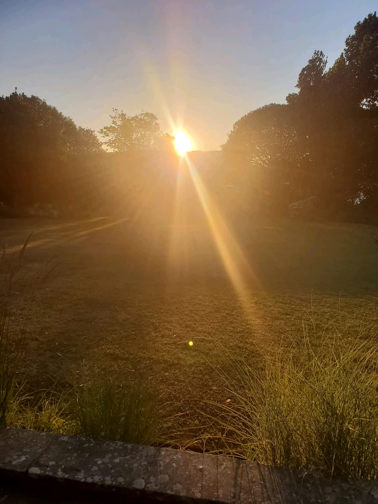 GIF uploaded by Saff